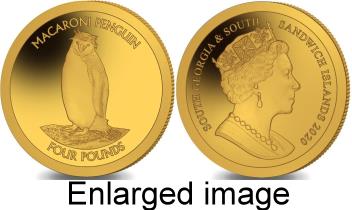 South Georgia & South Sandwich Islands 2020 gold 4 Pound coin depicting a Macaroni Penguin